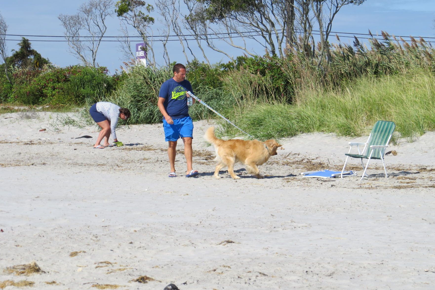 100816_urg_cdb_dogbeach (12).JPG